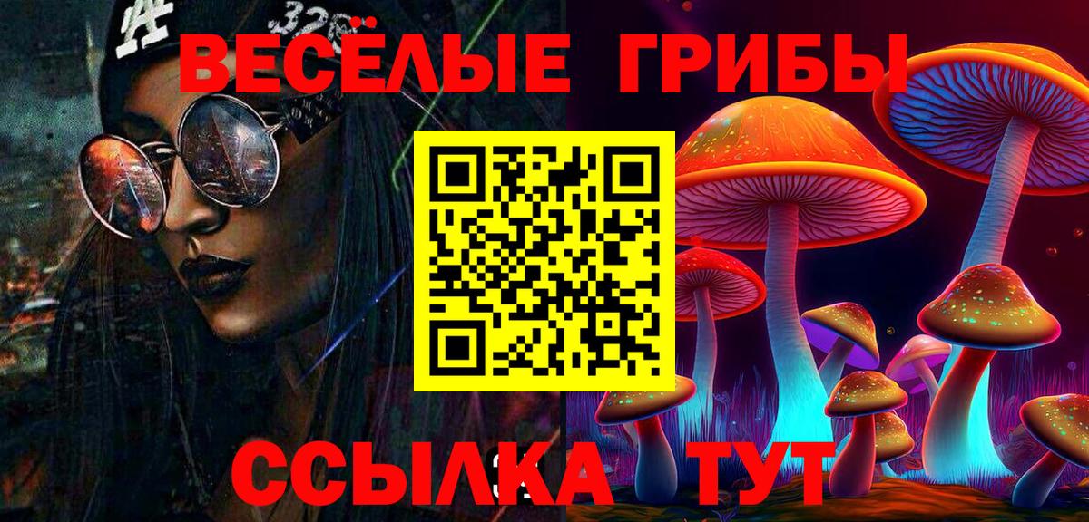 Галлюциногенные грибы мицелий  Вход с VPN  Сургут 