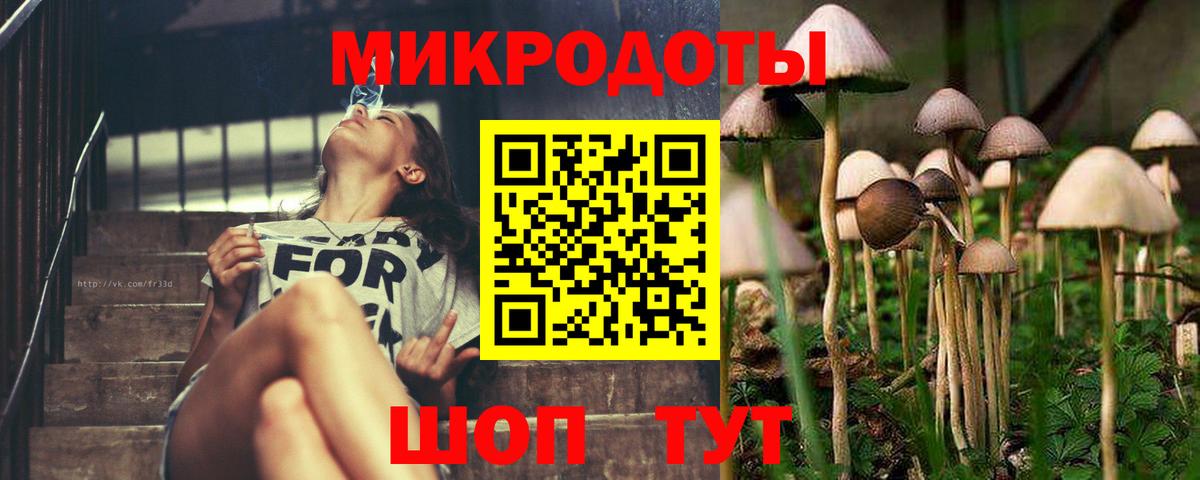 Псилоцибиновые грибы мицелий Сургут