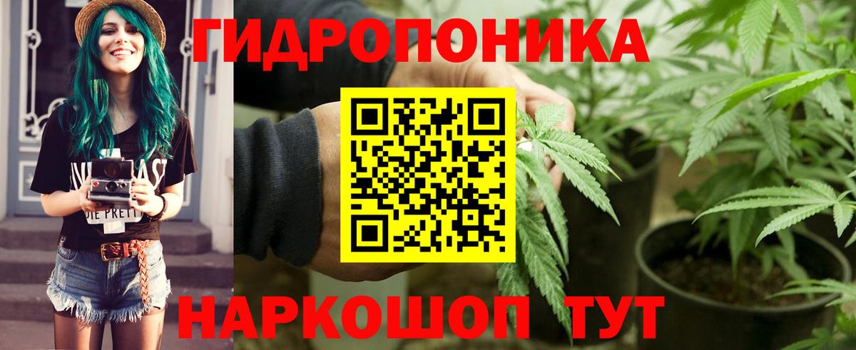 COCAIN Сургут